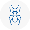 Ant Removals In Crawley