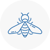 Bee Nest Removal Crawley