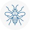 Crawley Hornet Nest Removals