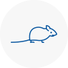 Mice Exterminators In Crawley