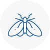 Moth Control Specialists In Crawley