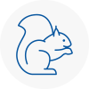 Crawley Rodent Removals