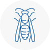 Crawley Wasp Nest Removal